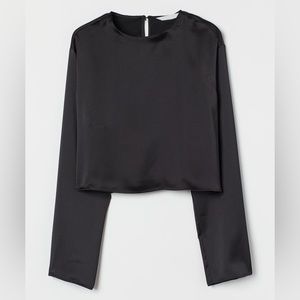 Satin Crop Blouse (Rarely Used)